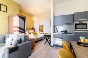 Studio-Deluxe-with-Kitchenette-in-Leopold-Hotel-Oudenaarde